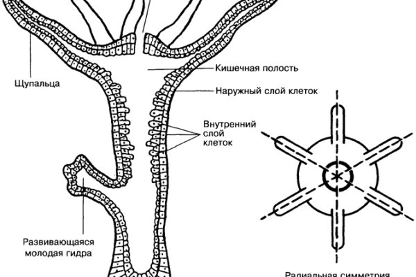 Kraken фейк сайт