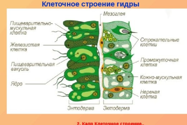 Как вывести с кракена