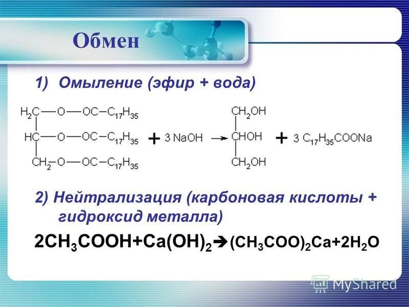 Гидра и кракен